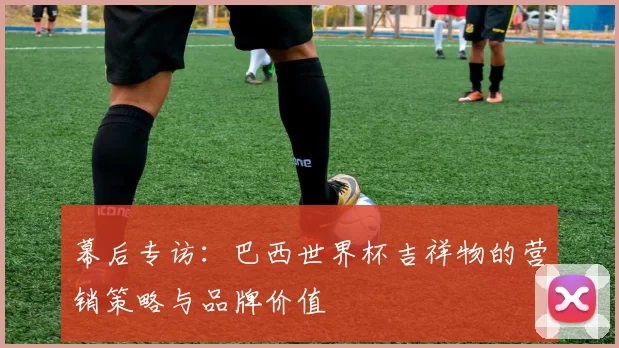 幕后专访：巴西世界杯吉祥物的营销策略与品牌价值