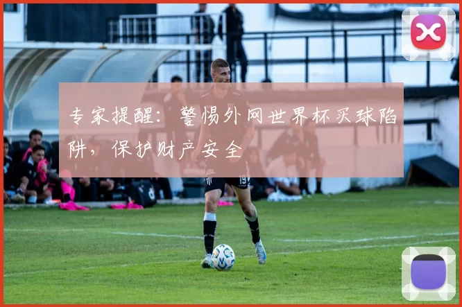 专家提醒：警惕外网世界杯买球陷阱，保护财产安全