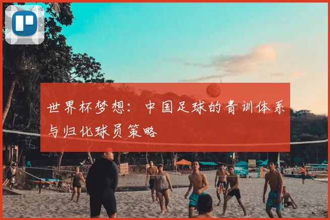 世界杯梦想:中国足球的青训体系与归化球员策略