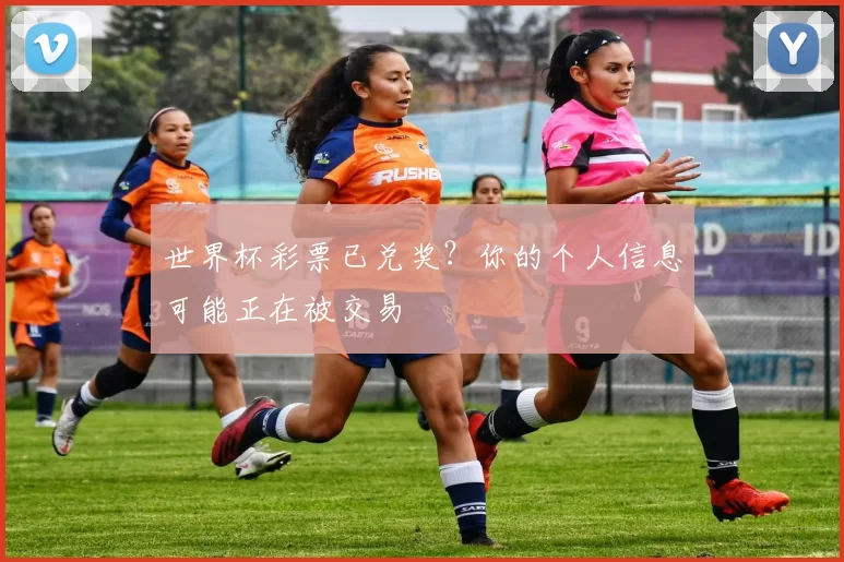 世界杯彩票已兑奖？你的个人信息可能正在被交易