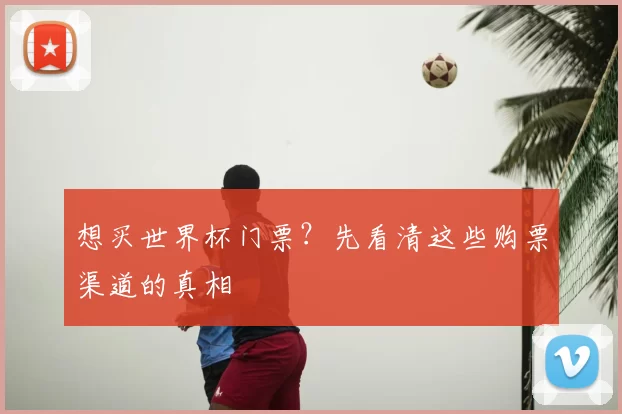 想买世界杯门票?先看清这些购票渠道的真相