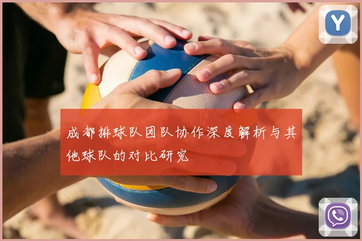 成都排球队团队协作深度解析与其他球队的对比研究