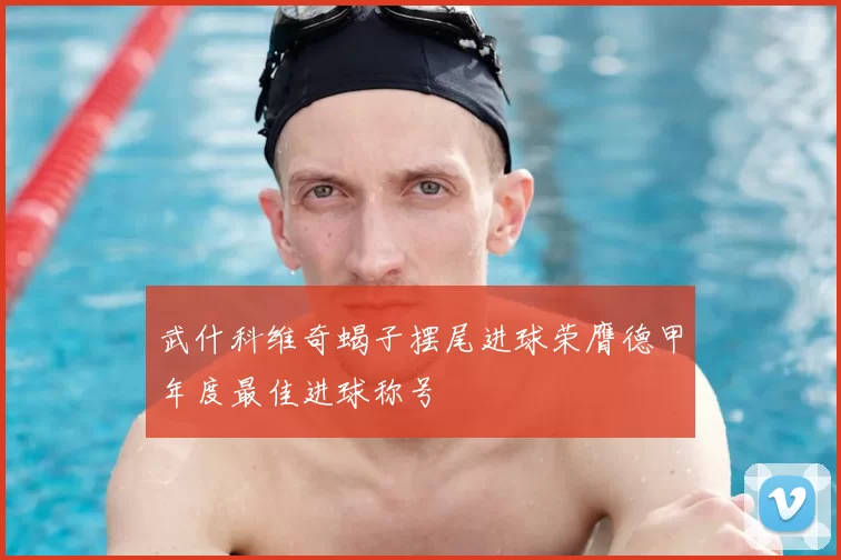 武什科维奇蝎子摆尾进球荣膺德甲年度最佳进球称号