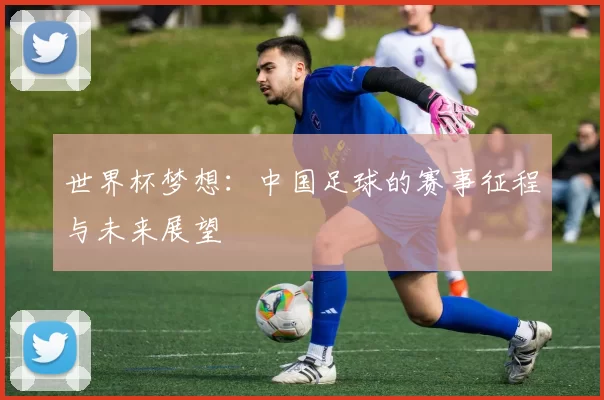 世界杯梦想:中国足球的赛事征程与未来展望