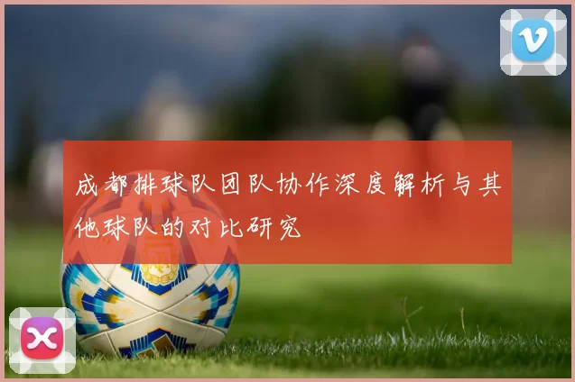 成都排球队团队协作深度解析与其他球队的对比研究