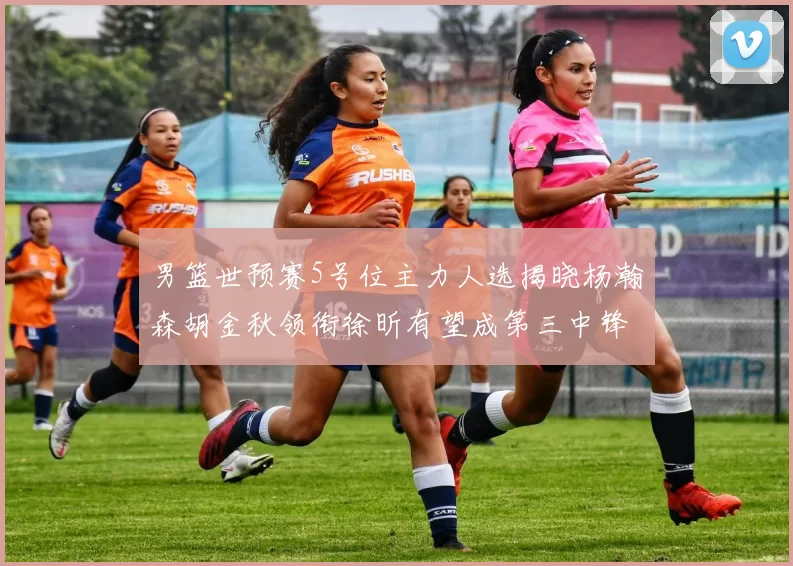 男篮世预赛5号位主力人选揭晓杨瀚森胡金秋领衔徐昕有望成第三中锋