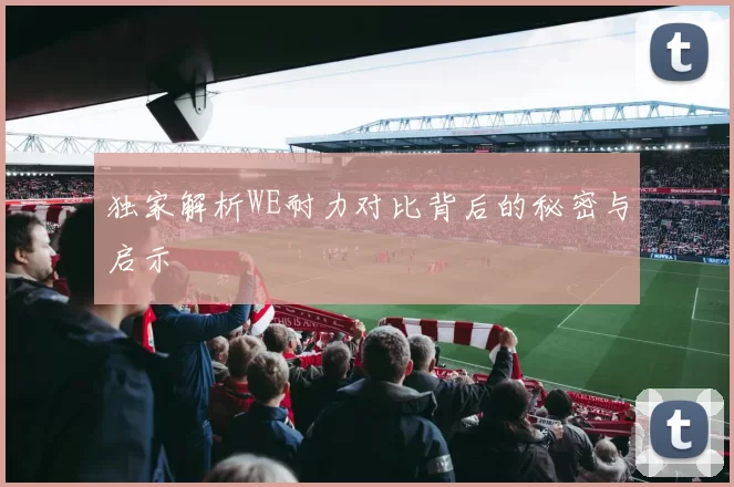 独家解析WE耐力对比背后的秘密与启示