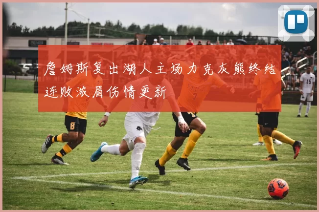 詹姆斯复出湖人主场力克灰熊终结连败浓眉伤情更新