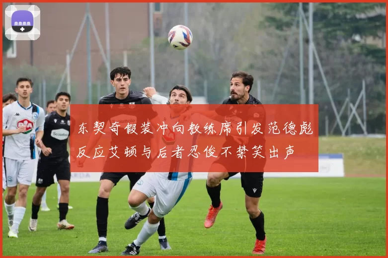 东契奇假装冲向教练席引发范德彪反应艾顿与后者忍俊不禁笑出声