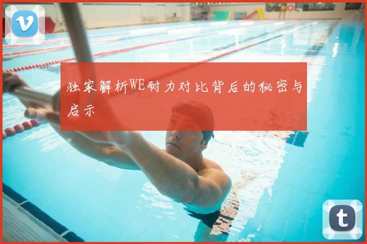 独家解析WE耐力对比背后的秘密与启示