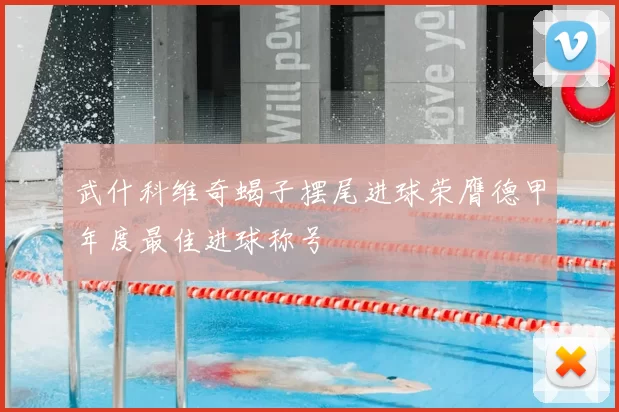 武什科维奇蝎子摆尾进球荣膺德甲年度最佳进球称号
