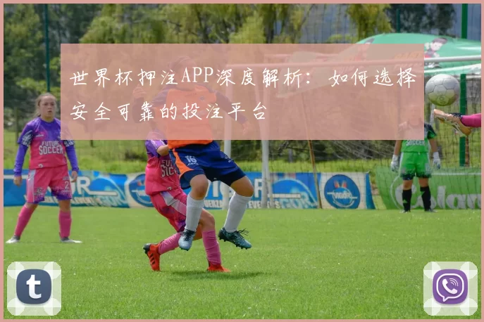 世界杯押注APP深度解析:如何选择安全可靠的投注平台
