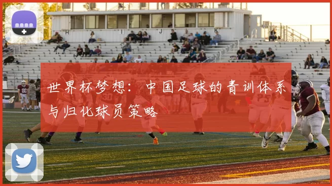 世界杯梦想：中国足球的青训体系与归化球员策略
