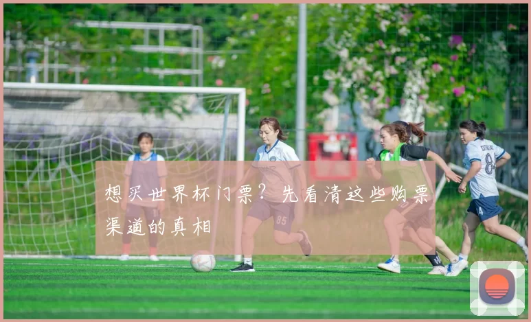 想买世界杯门票?先看清这些购票渠道的真相