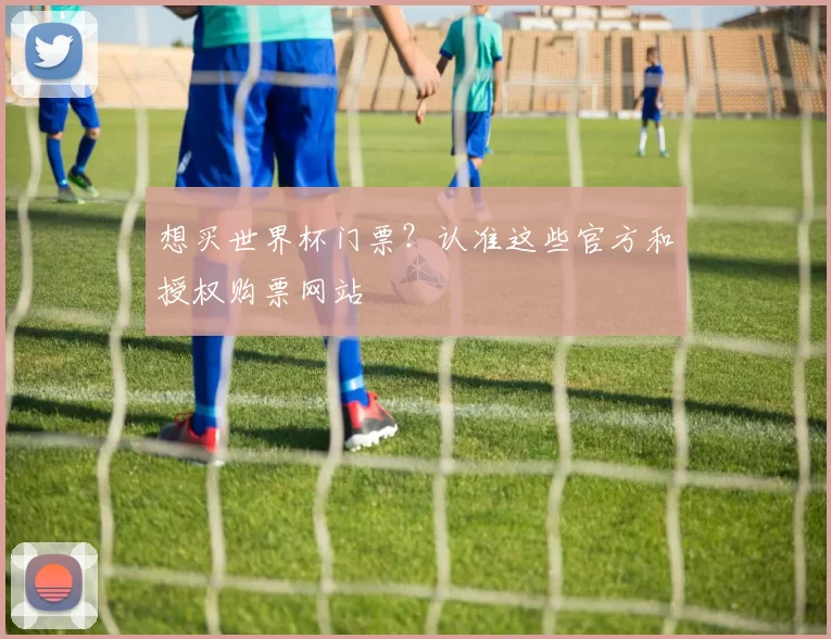 想买世界杯门票?认准这些官方和授权购票网站